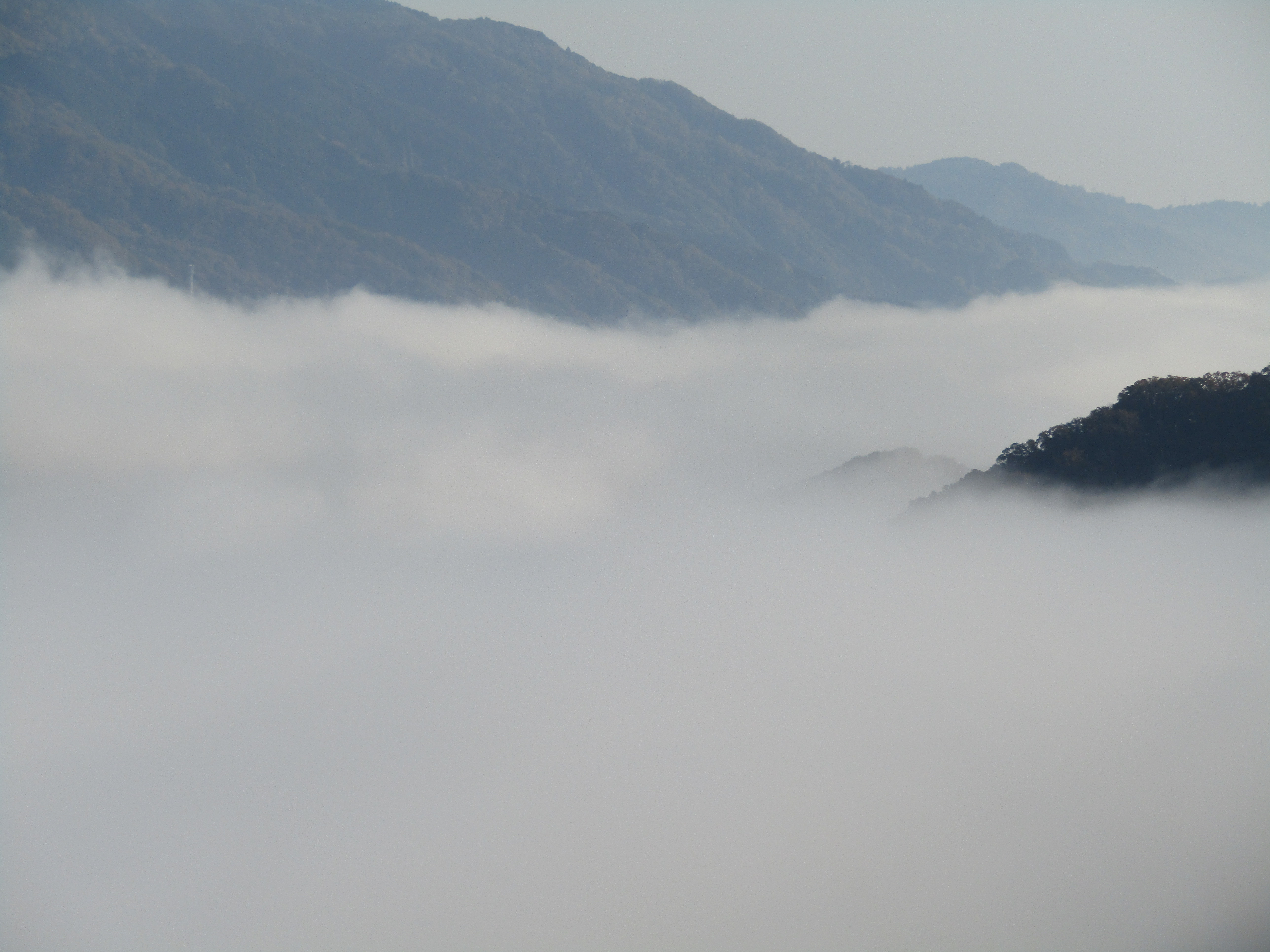 笠置山から見る雲海